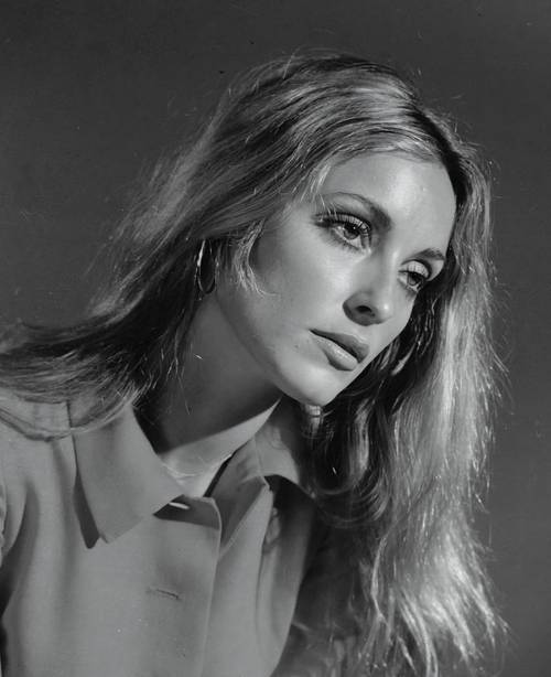 Sharon Tate, 1968 (UPI press photo)